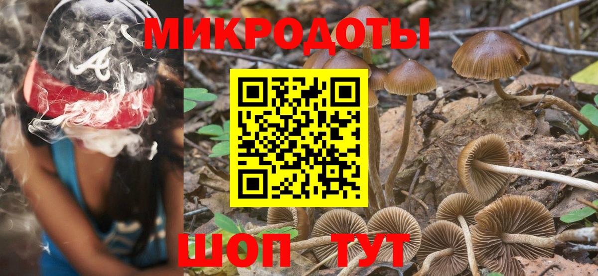 Галлюциногенные грибы Psilocybine cubensis Похвистнево